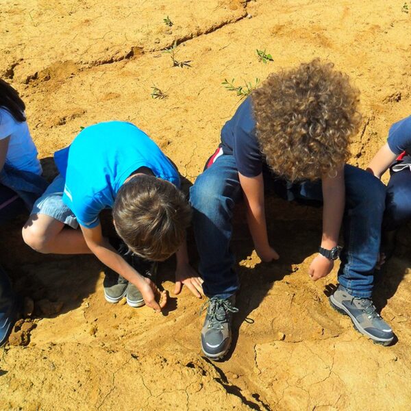 Visita interna scuola Stabilimento di Gabbro